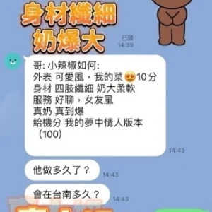 台南新市區|越南外送茶- 152/43/F<越南小姐姐>小辣椒✨
